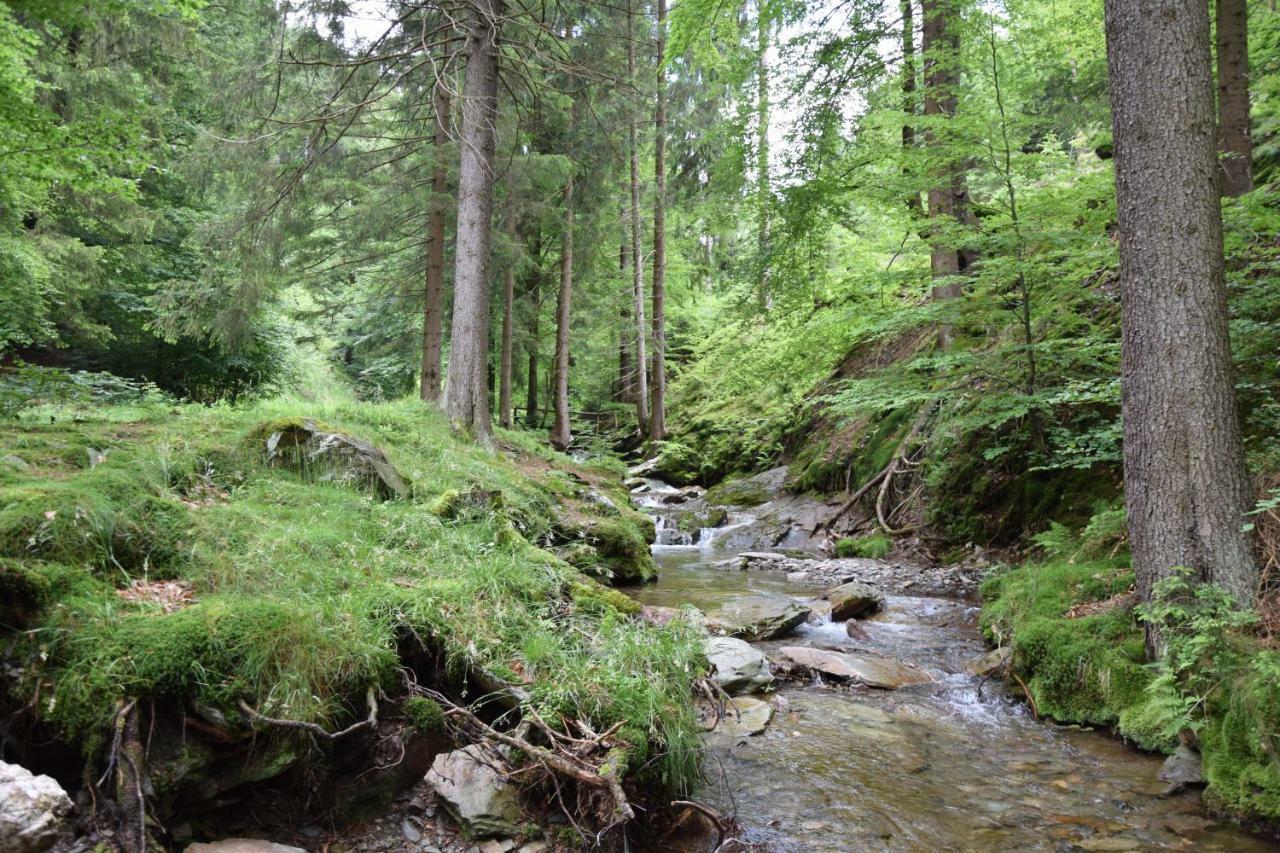 Marschalls Hotel Am Rennsteig ノイウハウス・アム・レンヴェーク エクステリア 写真
